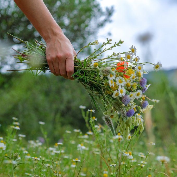 Kit d'évangélisation Pâques 2026